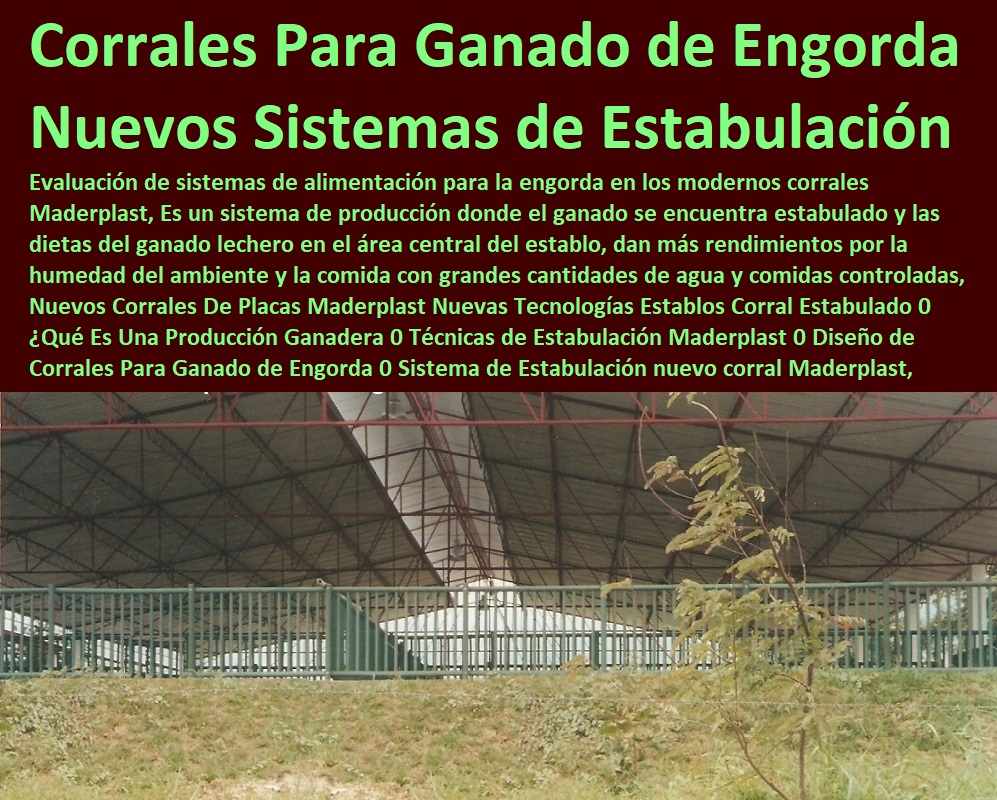 Nuevos Corrales De Placas Maderplast Nuevas Tecnologías Establos Corral Estabulado 0 ¿Qué Es Una Producción Ganadera 0 Explotación Ganadera Automatizada, Sistemas de Pastoreo, Estabulación de Ganado, Pastoreo Intensivo, Establos, Corrales, Saladeros, Comederos, Cerramientos, Postes, Ganaderías Tecnificadas, Ganaderías Tecnificadas, Técnicas de Estabulación Maderplast 0 Diseño de Corrales Para Ganado de Engorda 0 Sistema de Estabulación nuevo Nuevos Corrales De Placas Maderplast Nuevas Tecnologías Establos Corral Estabulado 0 ¿Qué Es Una Producción Ganadera 0 Técnicas de Estabulación Maderplast 0 Diseño de Corrales Para Ganado de Engorda 0 Sistema de Estabulación nuevo